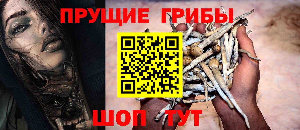 Галлюциногенные грибы Psilocybine cubensis Амурск