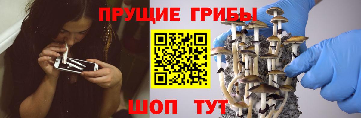 Галлюциногенные грибы ЛСД  Вход с VPN  Псилоцибиновые грибы GOLDEN TEACHER  сколько стоит  Амурск 
